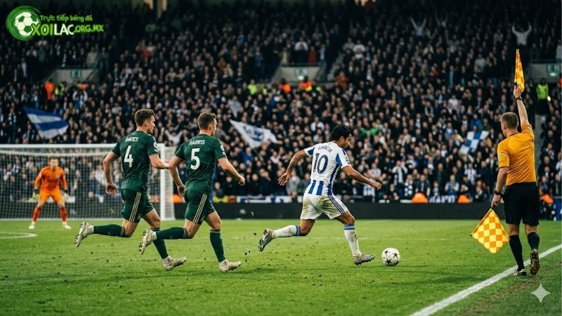 luat-viet-vi-moi-nhat