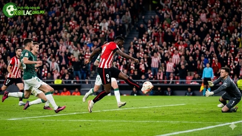 tien-ve-tan-cong-cam